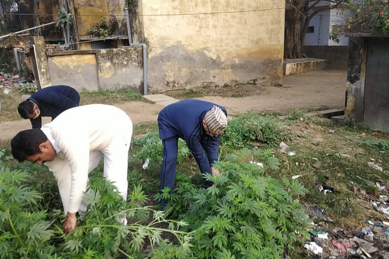 एसपी ने अभियान चलाकर दिया स्वच्छता का संदेश