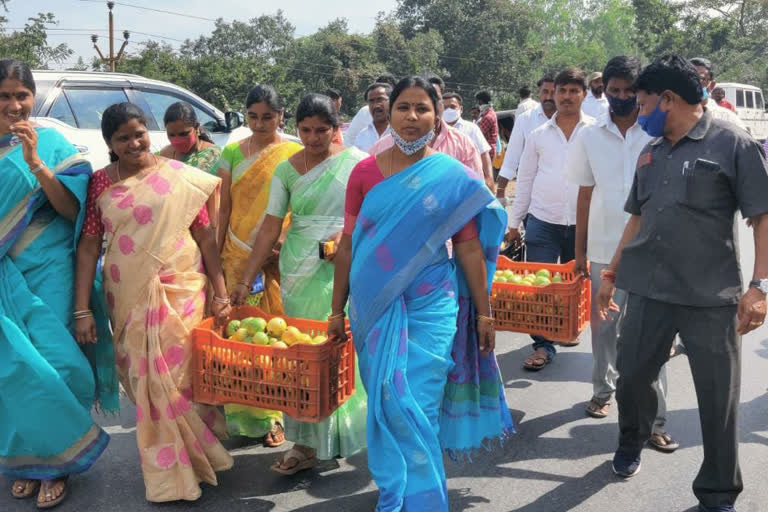 mla haripriya fruit distribution program for monkeys