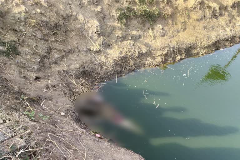 DEAD Body of old man recovered from  pond in patna