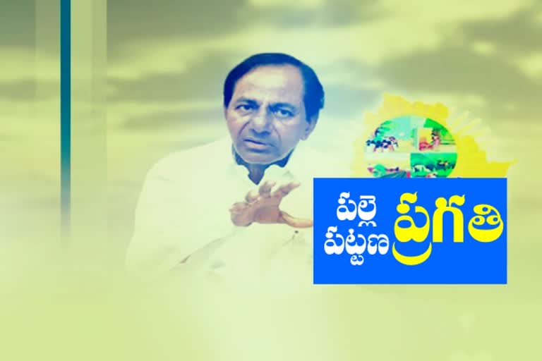 cm kcr on palle pattana pragathi