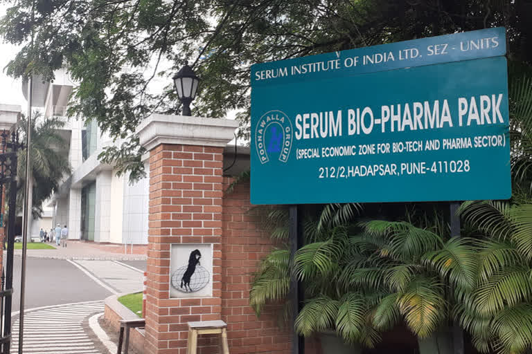 serum institute of india corona vaccine development process