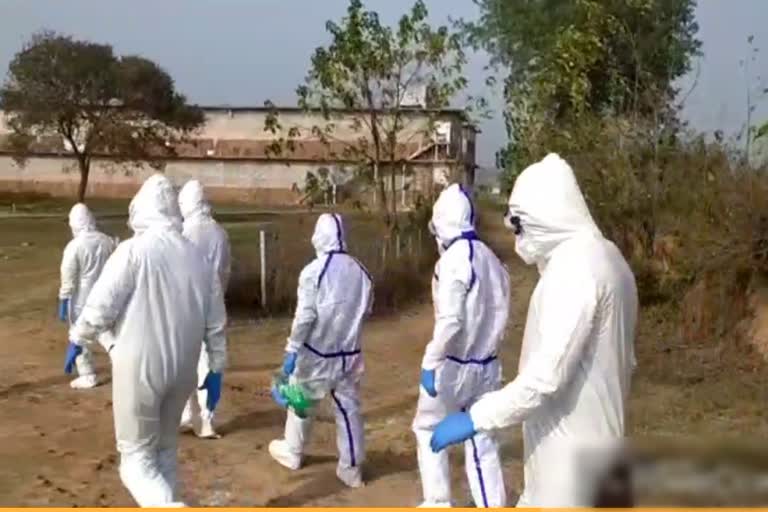 Panchkula Bird Flu update