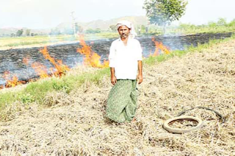 nivar effect on farmers in kadapa