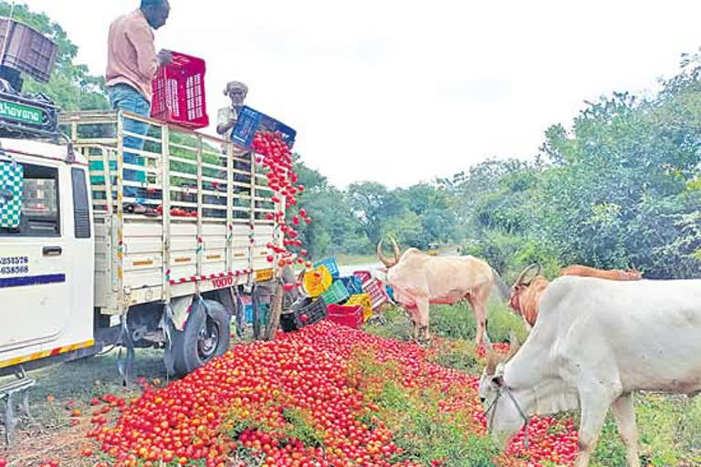 no price to tomato in ananthapuram