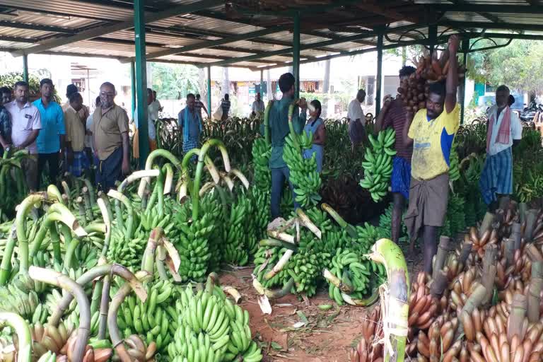 bananas sales