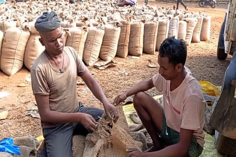 paddy purchase in chhattisgarh