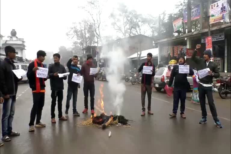 As_Tingkhang_all-tai-ahom-student-union-protest_vis_ASC10071