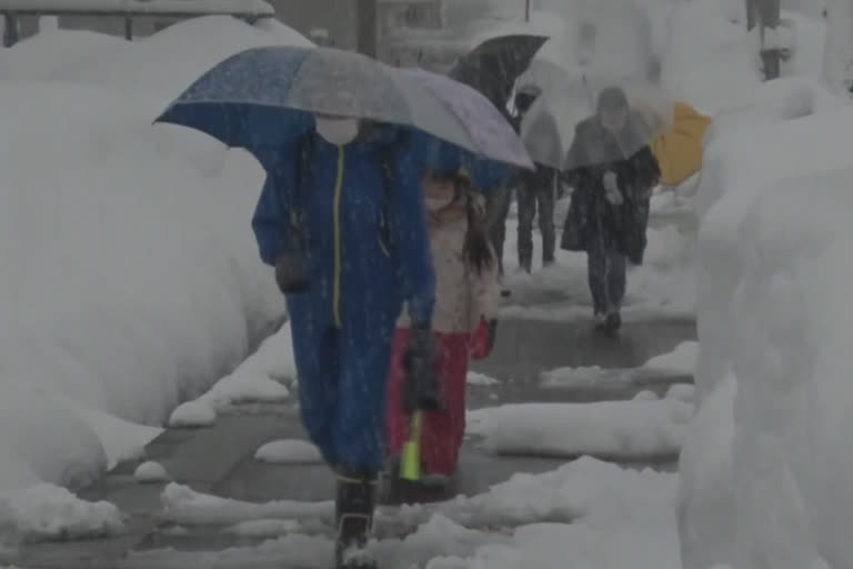 heavy snowfall kills 13 in japan