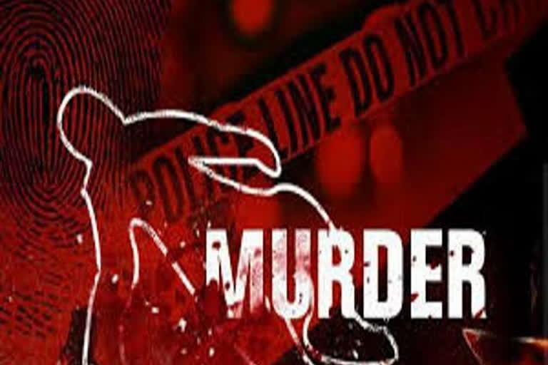 Husband killed his wife with a hammer in hisar