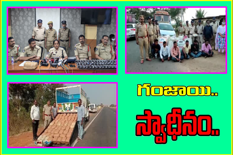 police-seize-cannabis-smuggled-in-srikakulam-and-west-godavari-visakhapatnam-districts