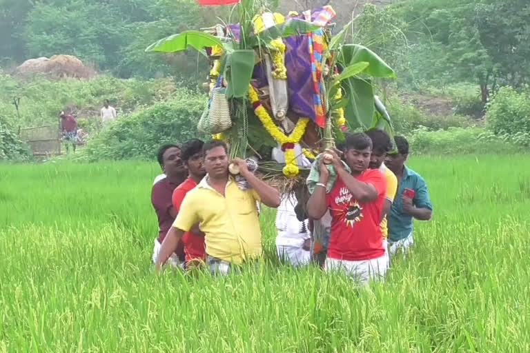 the-tragedy-of-carrying-a-corpse-in-the-middle-of-a-paddy-field