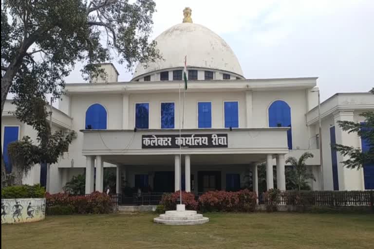 Collectorate office