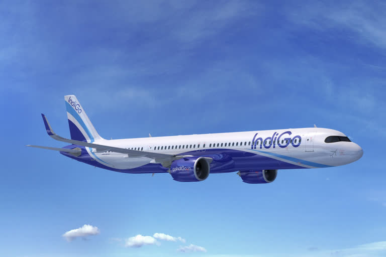 IndiGo