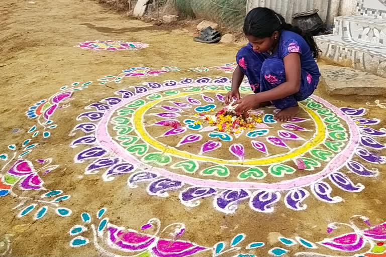 The villages of Alampur in Jogulamba Gadwal district are adorned with Sankranthi