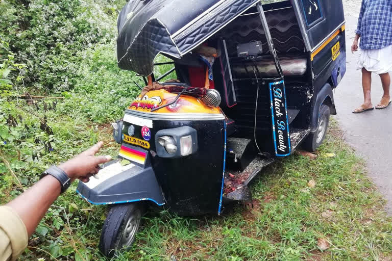 auto driver died  ഓട്ടോ ഡ്രൈവർ മരിച്ചു  ഓട്ടോറിക്ഷയ്‌ക്ക്‌ മുകളിൽ മരം വീണ വാർത്ത  tree fell on top of the autorickshaw