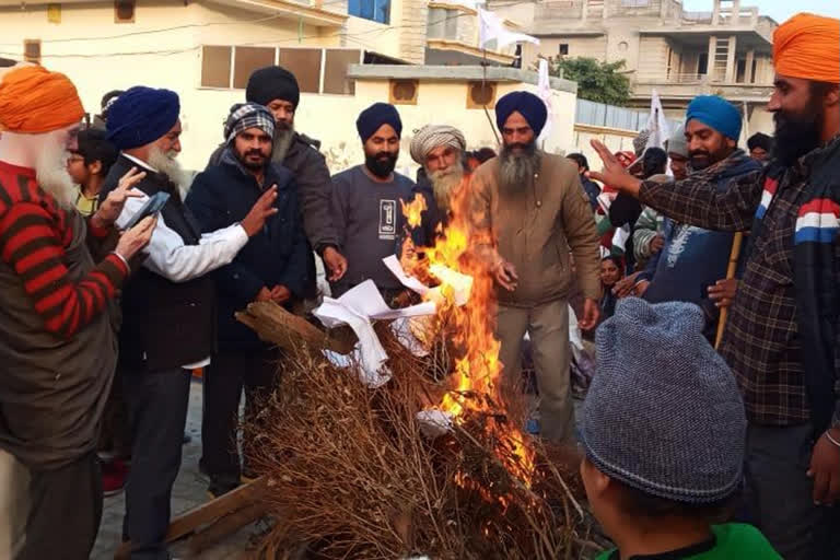 Lohri celebration: Punjab Congress MPs burn copies of farm laws