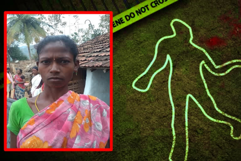 murder in vishaka agency