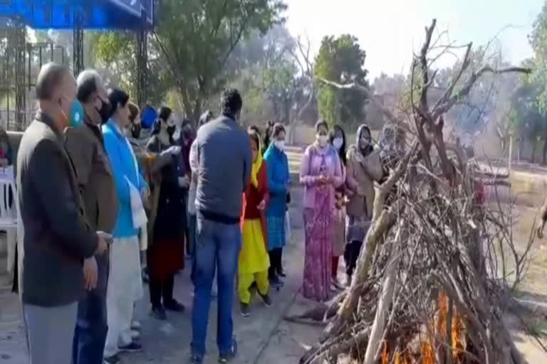 Lohri festival celebrated