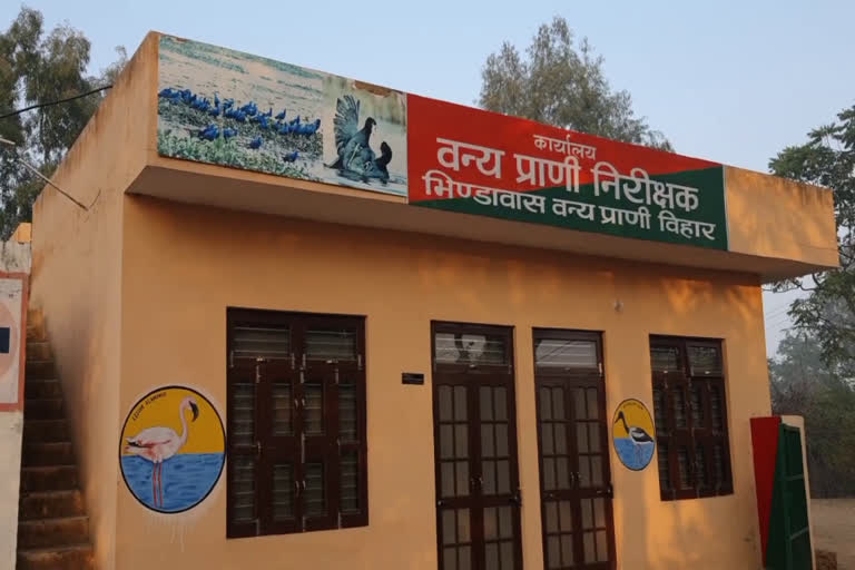 Bird flu can spread fromb hindawas lake in haryana