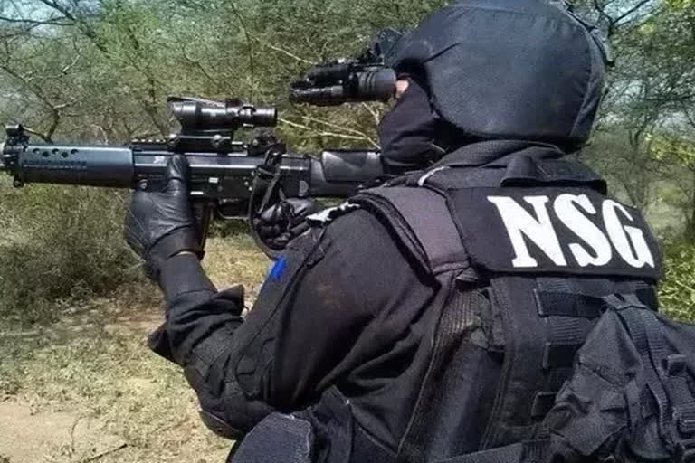 nsg-commandos