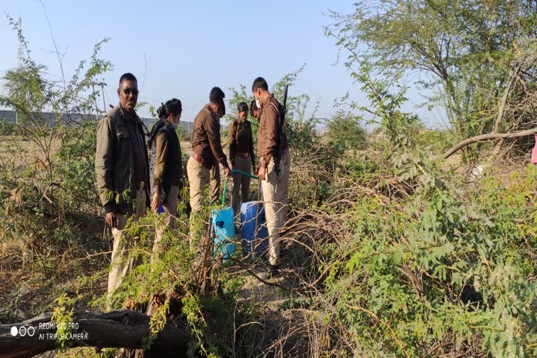 अवैध शराब के ठिकानों पर दबिश,