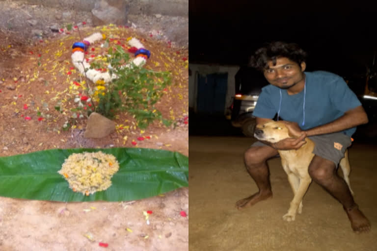 Villagers showed humanity by doing funeral of a street dog