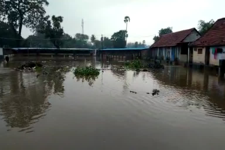 continued-flooding-of-the-tamiraparani-river-floods-engulf-homes-for-second-day