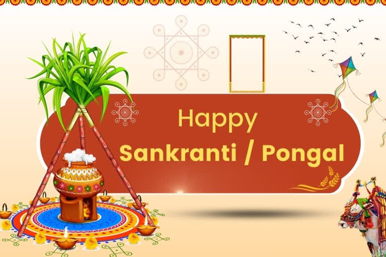 Leaders wish on Makar Sankranti, Pongal, Magh Bihu