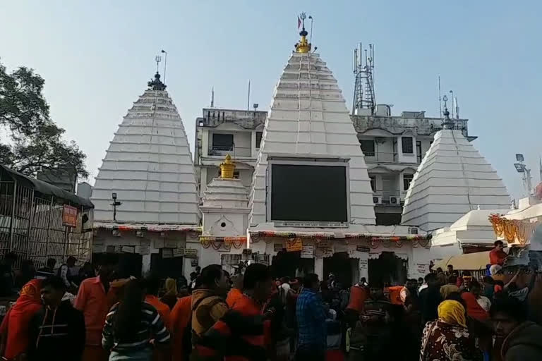 makar sankranti at baba bhole temple