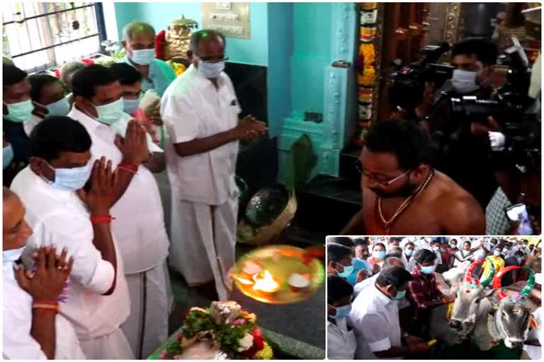 CM Palaniswamy celebrates Pongal in his village