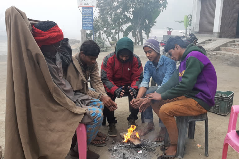 Muzaffarpur cold