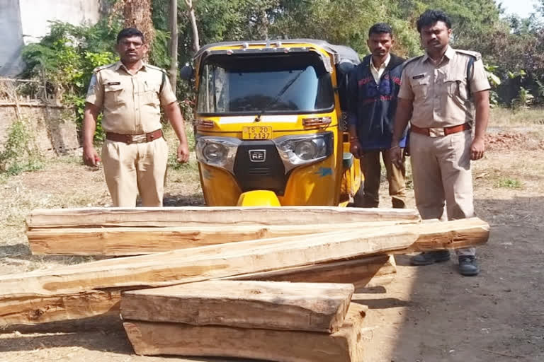 Seizure of illegally transport timber in auto at asifabad