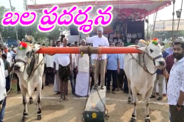 Ongolu Gittala  competitions