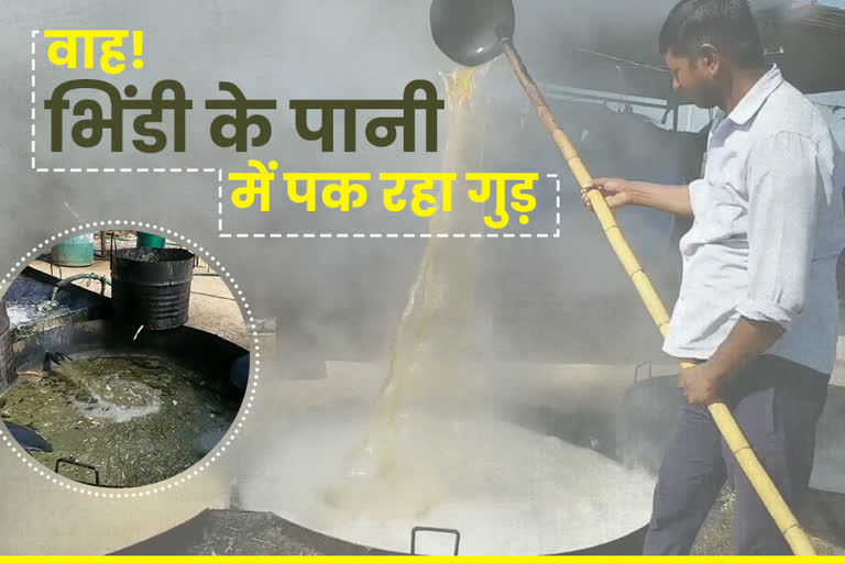 chittaurgarh jaggery news, चित्तौड़गढ़ से दिल्ली, हरियाणा जाता है गुड़