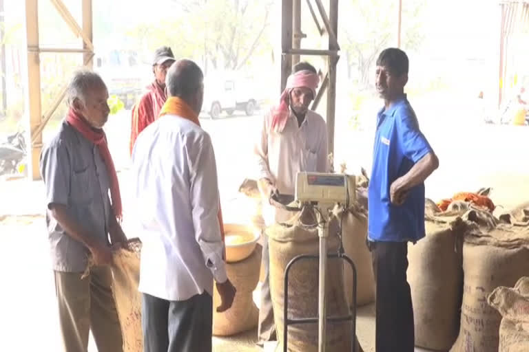 73.56 lakh metric tonnes of paddy purchased in Chhattisgarh