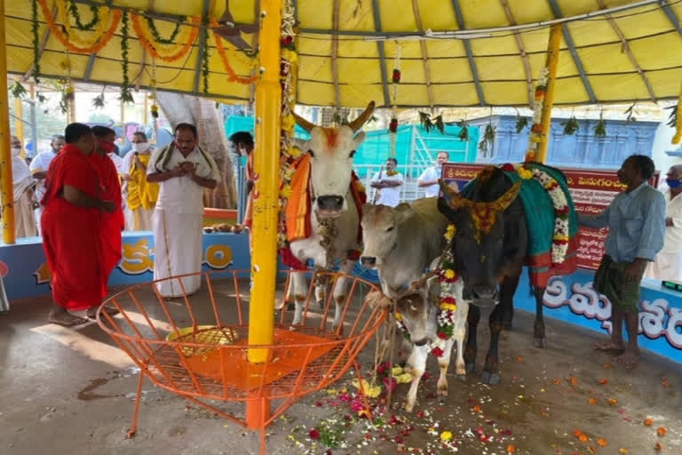 gopooja in krishna district