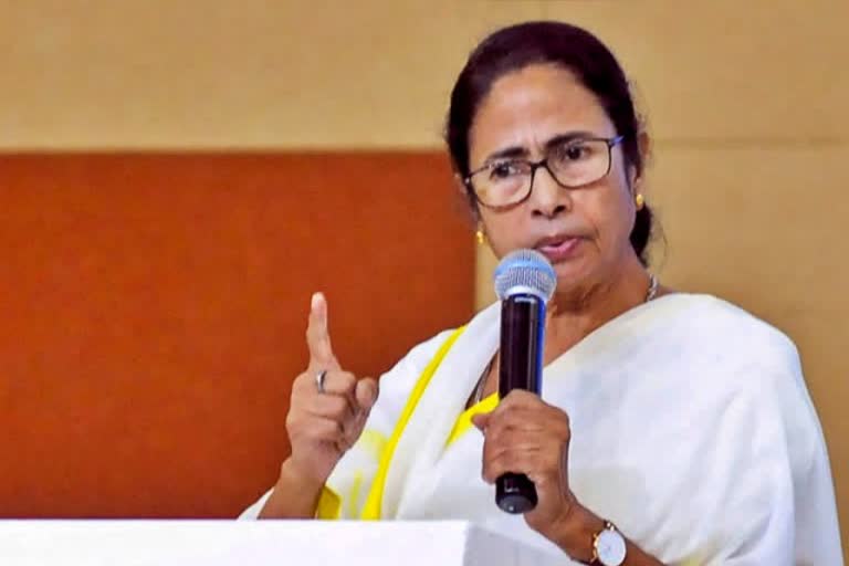 mamata