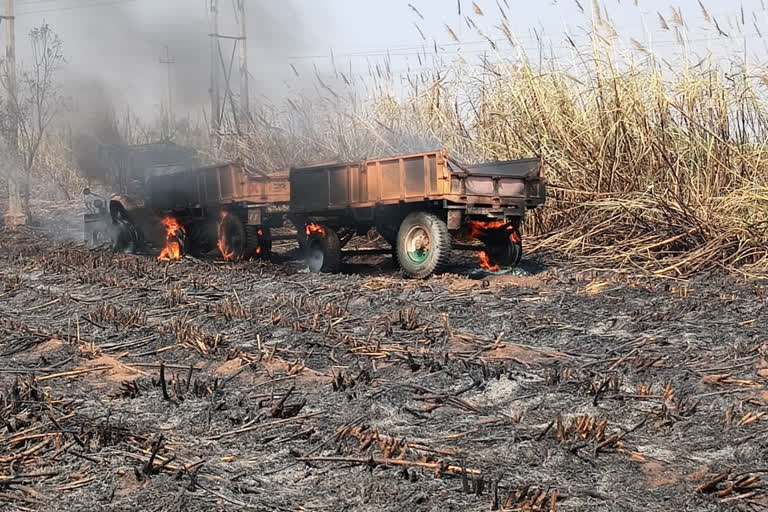 ವಿದ್ಯುತ್ ಶಾರ್ಟ್​ ಸರ್ಕ್ಯೂಟ್​ನಿಂದ ಕಬ್ಬಿನ ಗದ್ದೆಗೆ ಬೆಂಕಿ