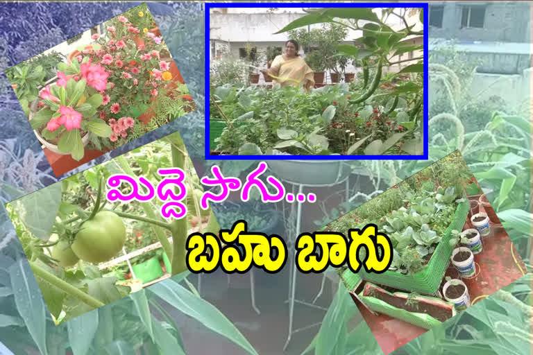 garden on house