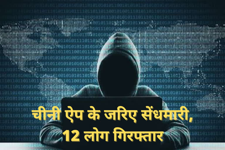 delhi police cyber cell arrested 12 people