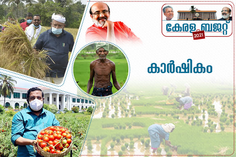 kerala budget news  kerala government news  kerala budget announcement  കേരള ബജറ്റ് വാർത്തകൾ  കേരള സർക്കാർ വാർത്തകൾ  കേരള ബജറ്റ് പ്രഖ്യാപനങ്ങൾ