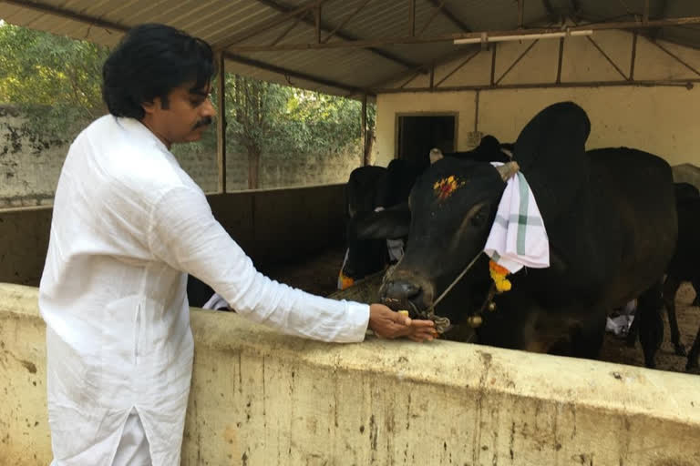 pawan kalyan gopooja in hyderabad