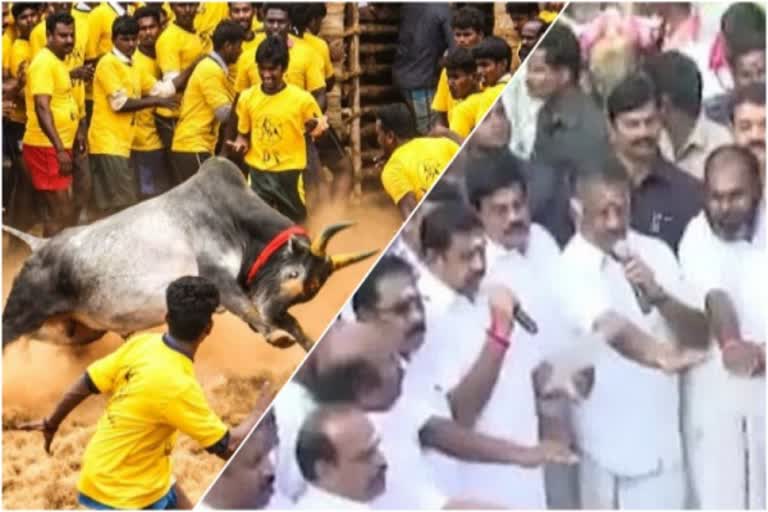 Alankanallur Jallikattu: EPS, OPS gives  prizes to the winning bull and Players