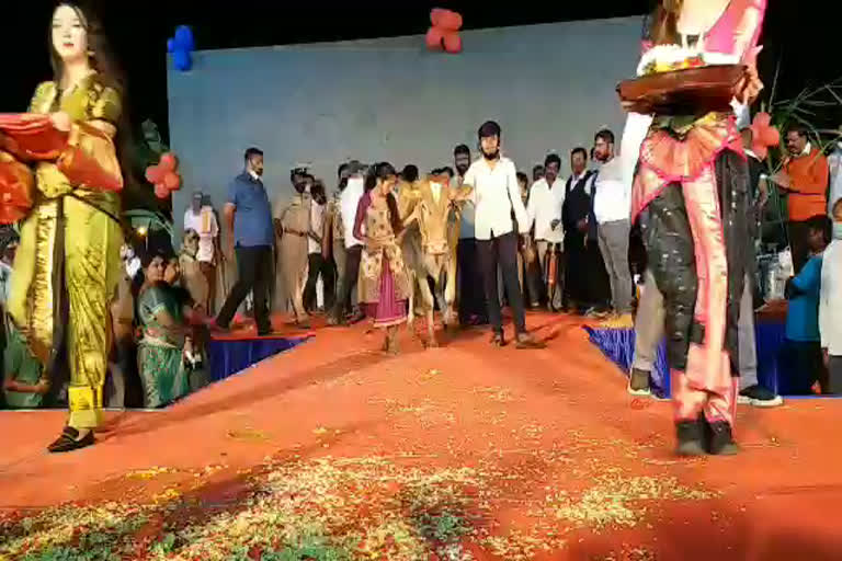 Ramp walk for cattle in hoskote