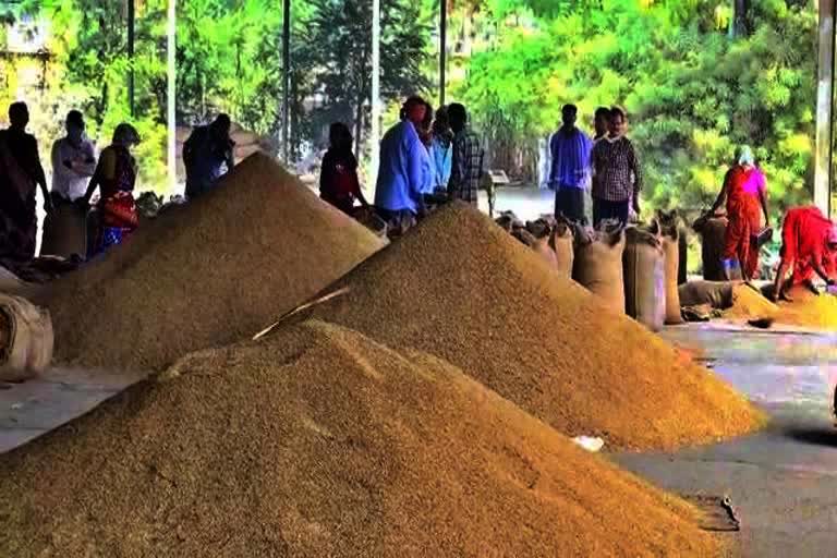 paddy purchased in chhattisgarh