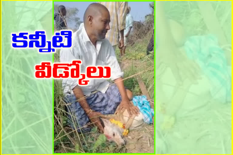 a man fell in love with a pet dog in warangal rural district