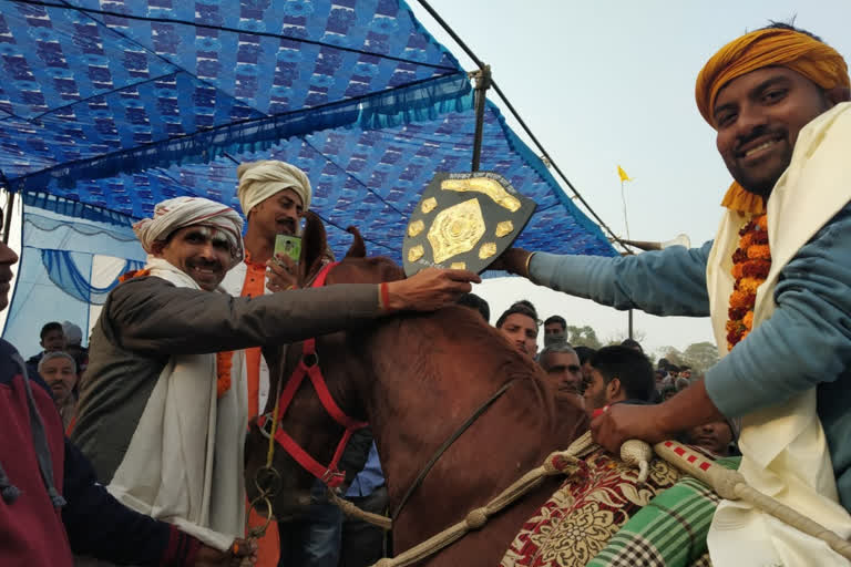 शील्ड प्राप्त करता घुड़सवार