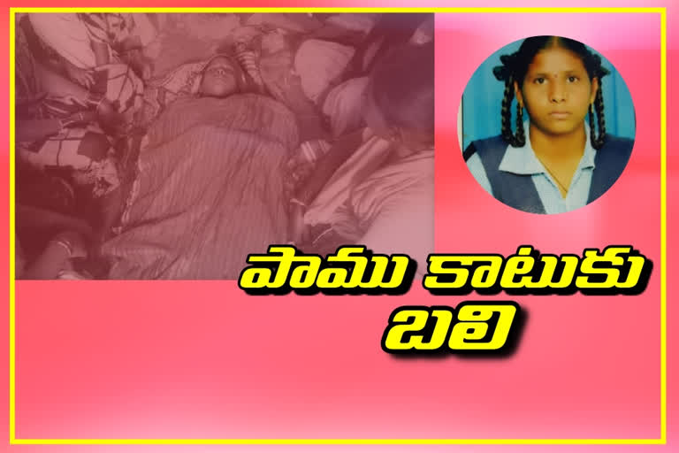 student death due to snakebite in narayanpet district utnoo rmandal