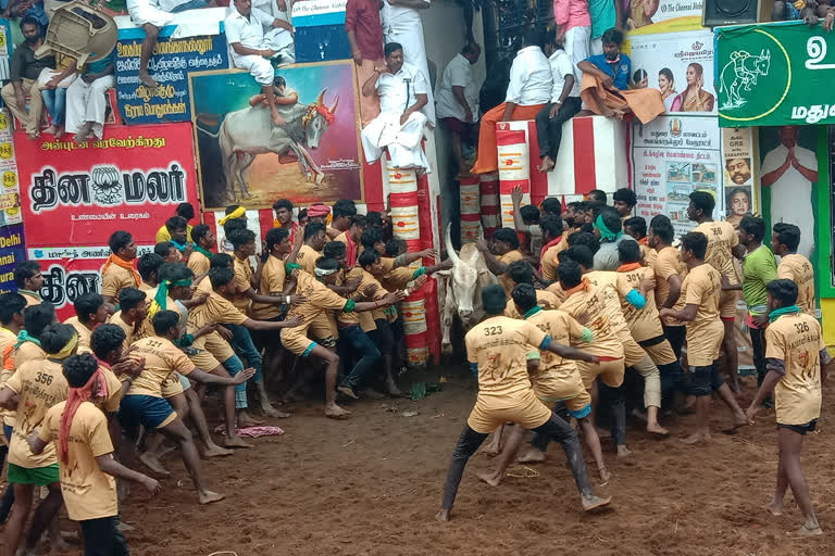 अलंगानल्लूर जल्लीकट्टू प्रतियोगिता