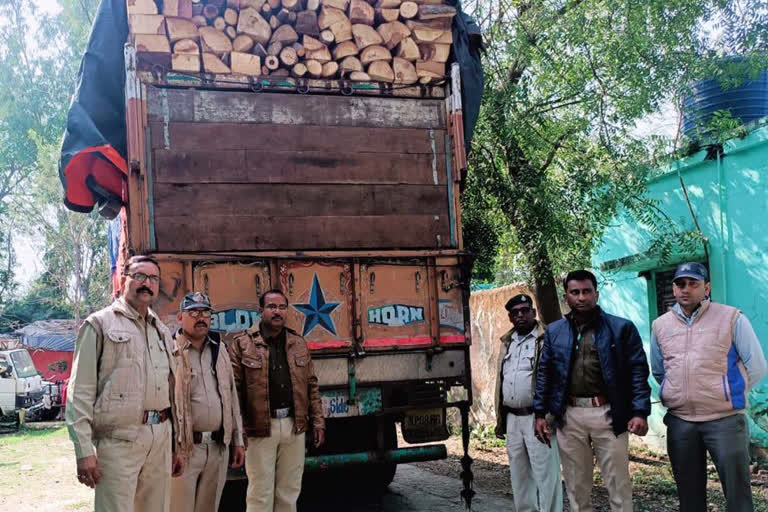 200 quintals illegal wood seized